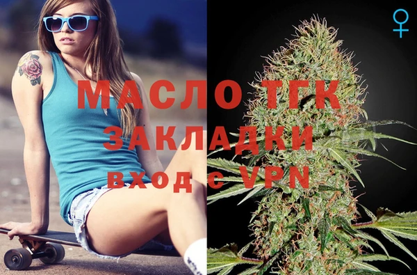 apvp Инсар