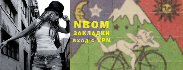 сатива Инта