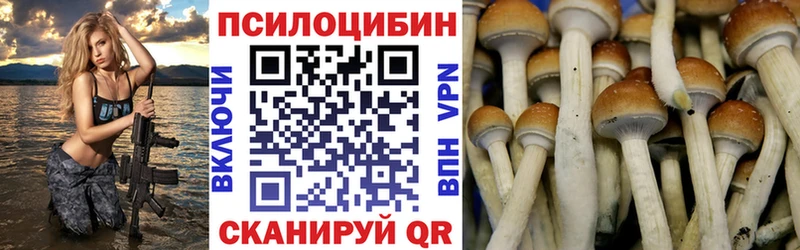 Галлюциногенные грибы GOLDEN TEACHER  Ковров 